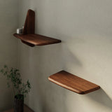 Walnut / Large
