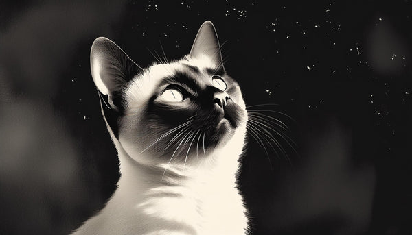 What Cat Breed Are You According To Your Zodiac Sign?